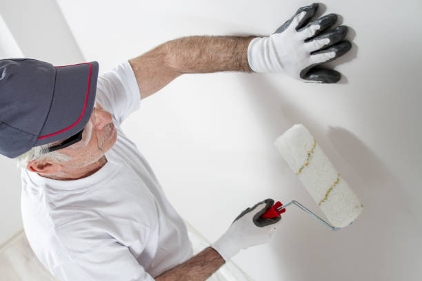 Oak Brook, IL Drywall and Painting Service Company